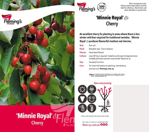 Cherry Tree - Minnie Royal