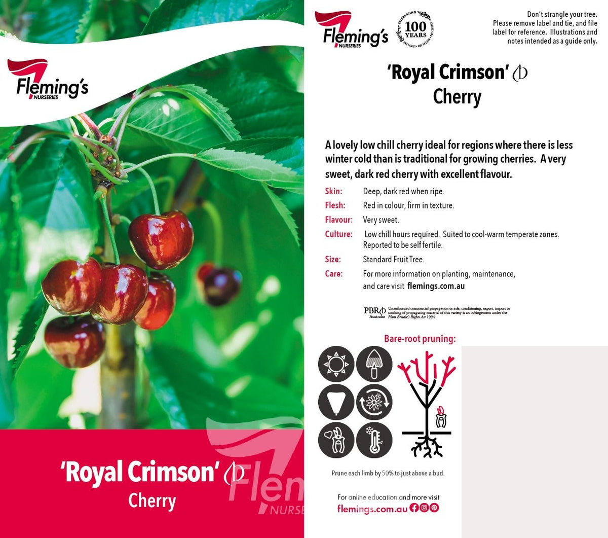 Cherry Tree - Royal Crimson