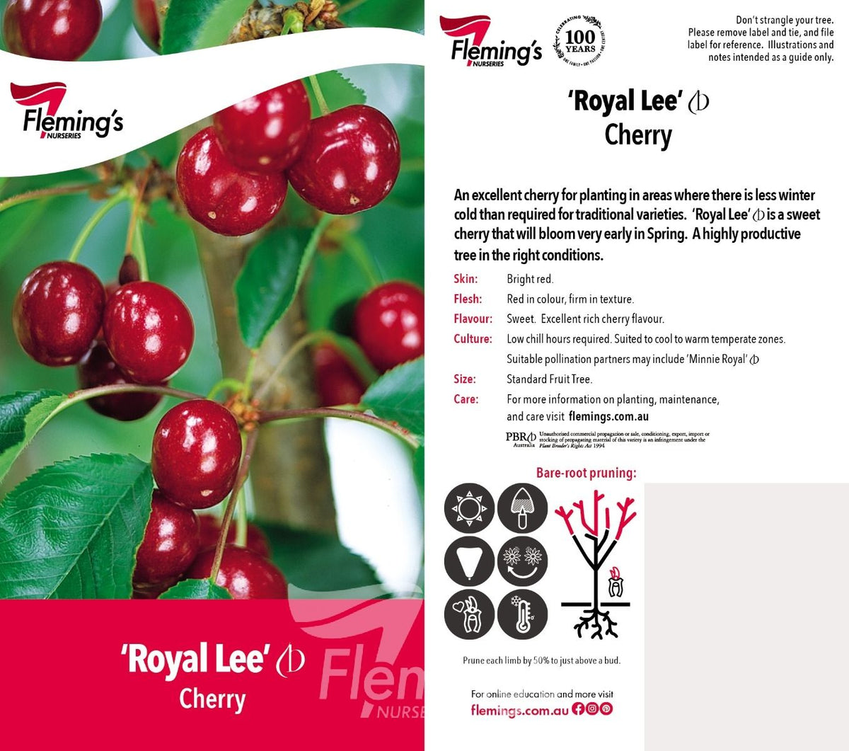 Cherry Tree - Royal Lee