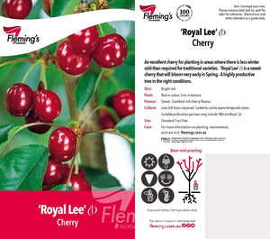 Cherry Tree - Royal Lee