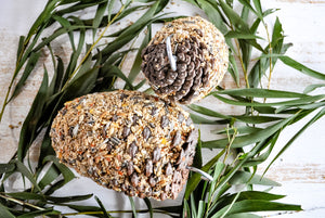 Forage Pinecone Bird Treat