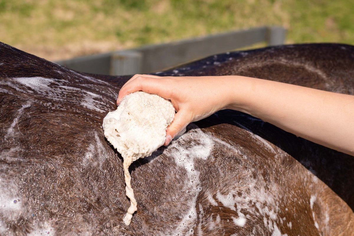 Hairy Pony Eco-Friendly Original Shampoo Bar