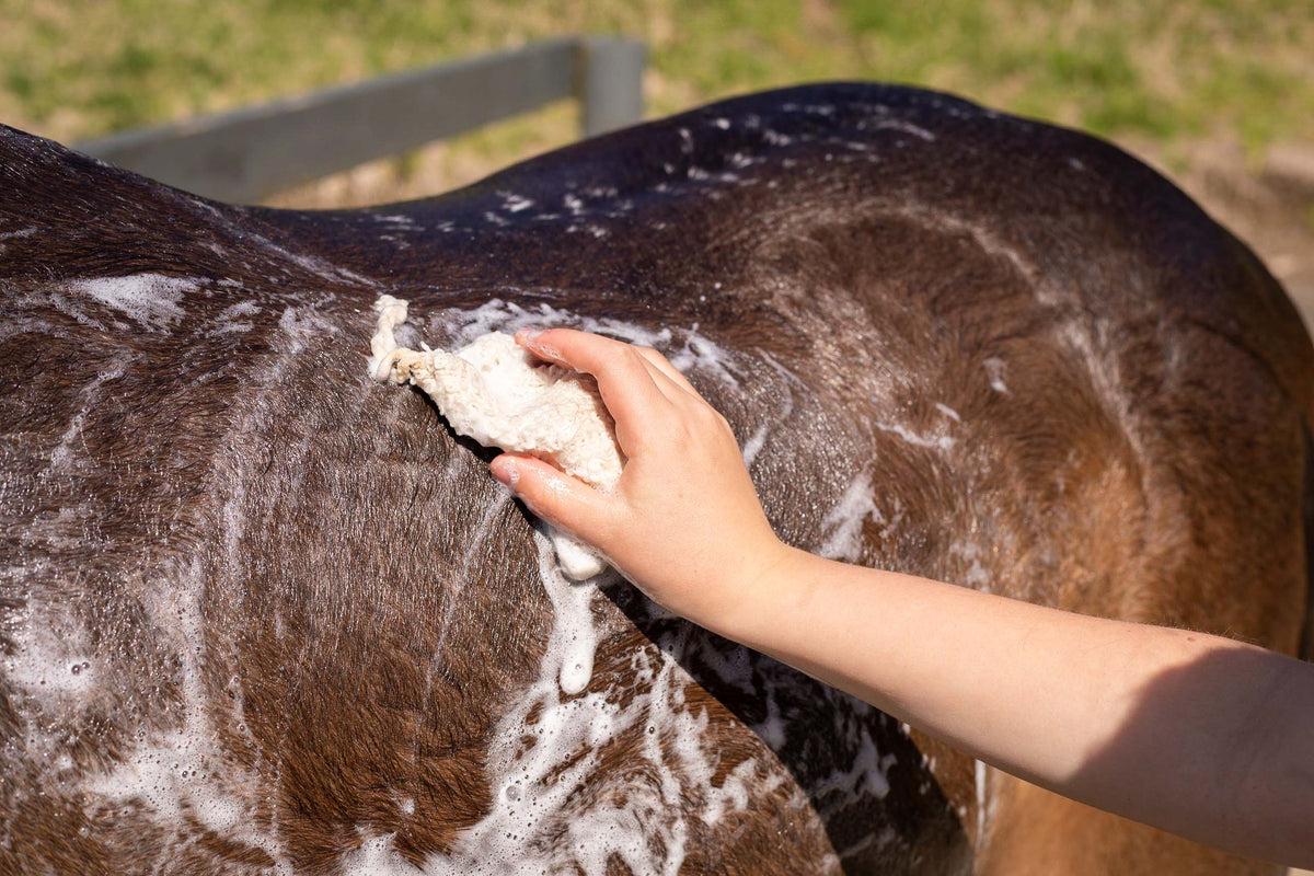 Hairy Pony Eco-Friendly Original Shampoo Bar