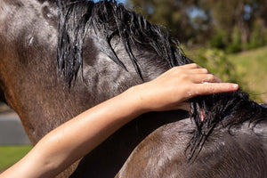 Hairy Pony Hair Repair