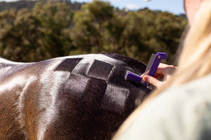 Hairy Pony Quarter Mark Comb