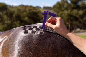 Hairy Pony Quarter Mark Comb