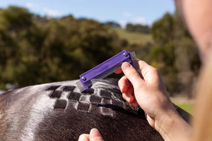 Hairy Pony Quarter Mark Comb