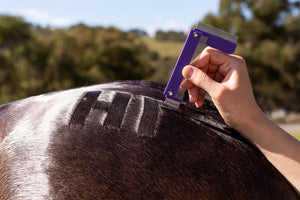 Hairy Pony Quarter Mark Comb