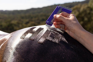 Hairy Pony Quarter Mark Comb