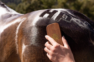 Hairy Pony Quarter Mark Brush