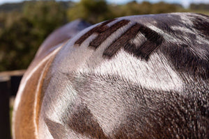 Hairy Pony Quarter Mark Brush