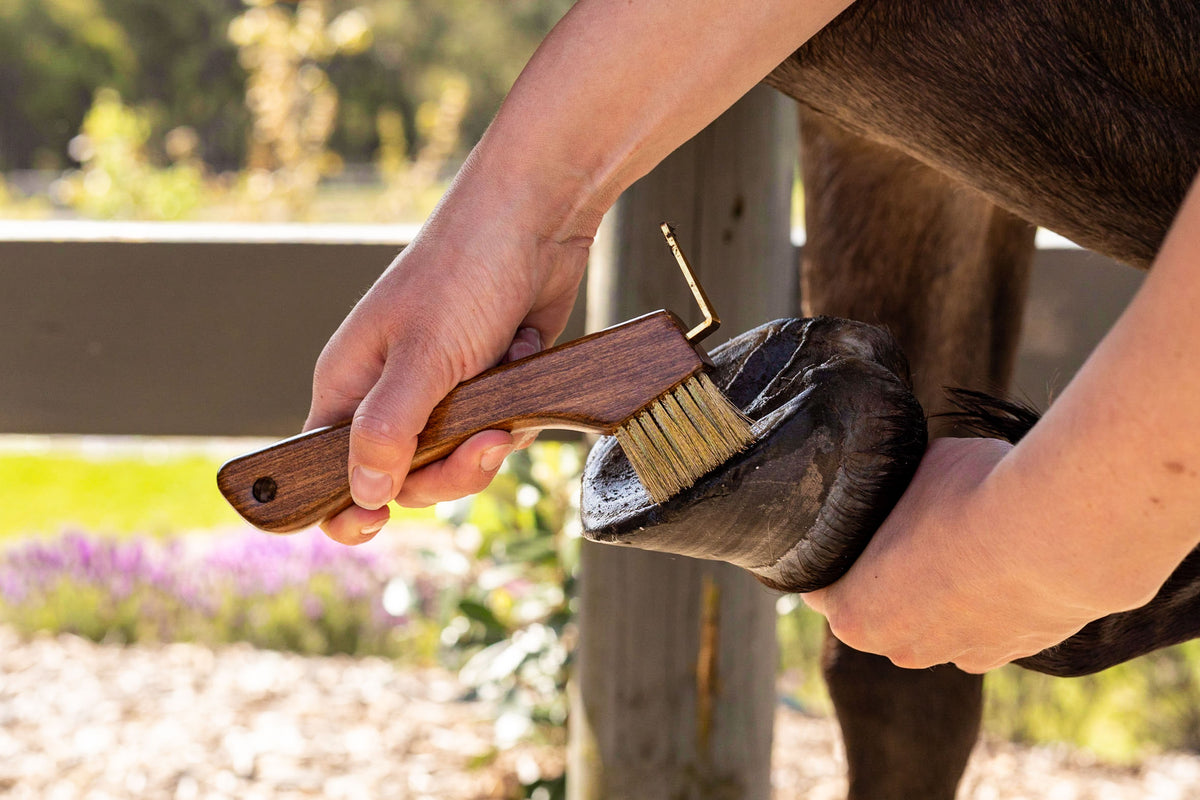 Hairy Pony Copper Bristle Hoof Pick