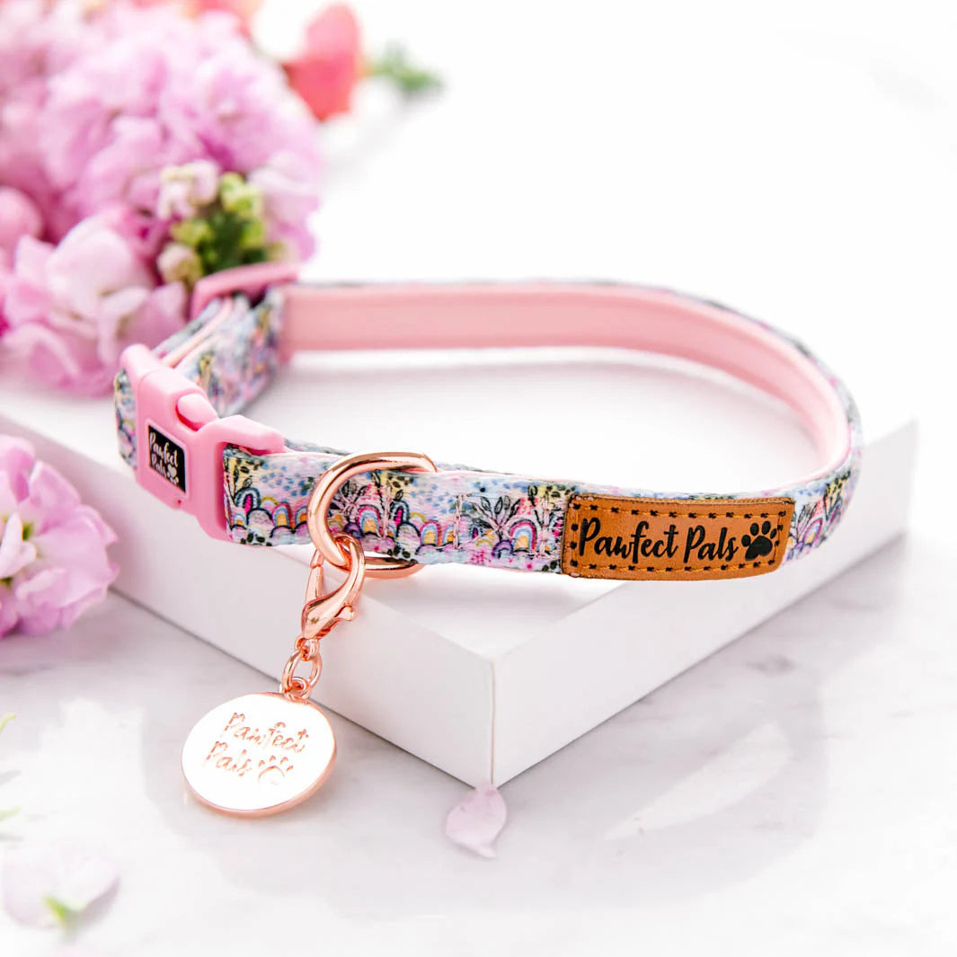Soft Dog Collar Got it Glowing On - Boho Glow