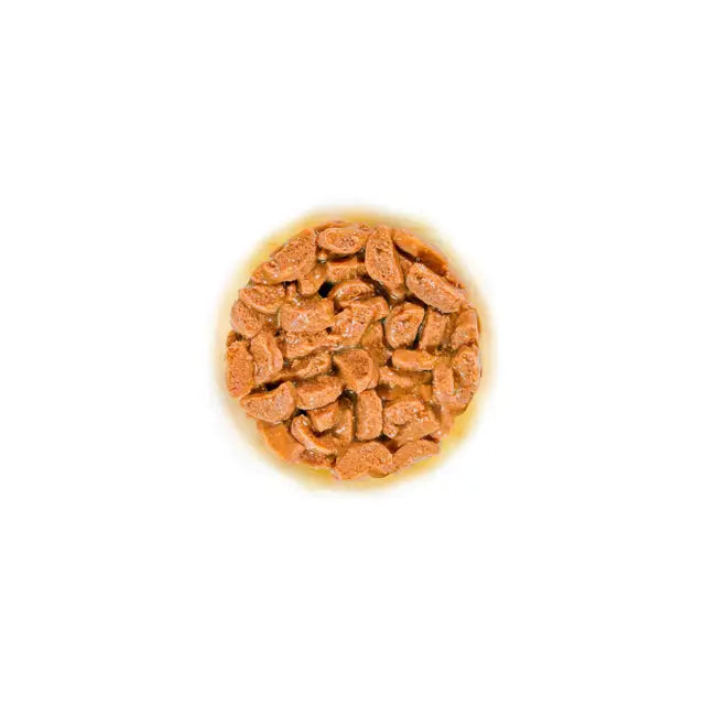 Royal Canin Cat Ageing 11+ Gravy Wet Cat Food
