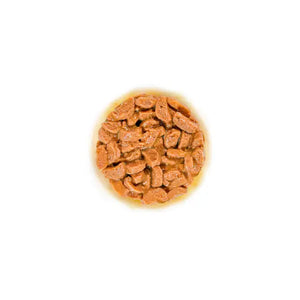 Royal Canin Cat Ageing 11+ Gravy Wet Cat Food