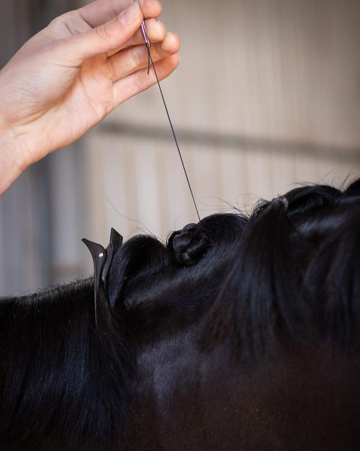 Hairy Pony Stainless Plaiting Needle 2pk