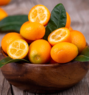 Kumquat - Meiwa Grafted