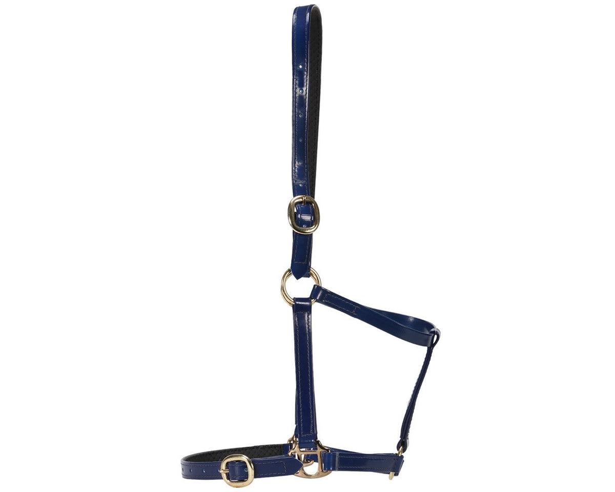 Horse Sense Designer PVC Halter Cob and Full