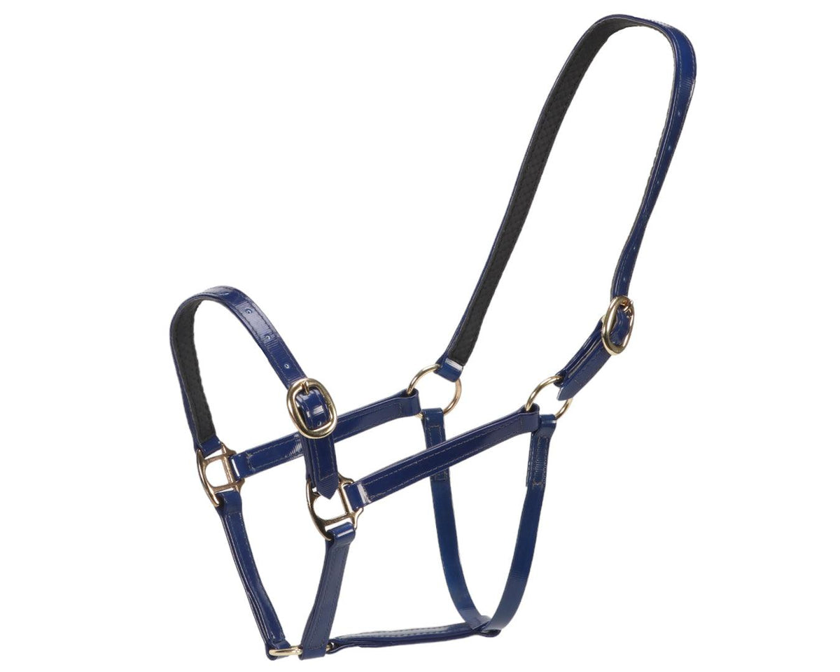 Horse Sense Designer PVC Halter Cob and Full