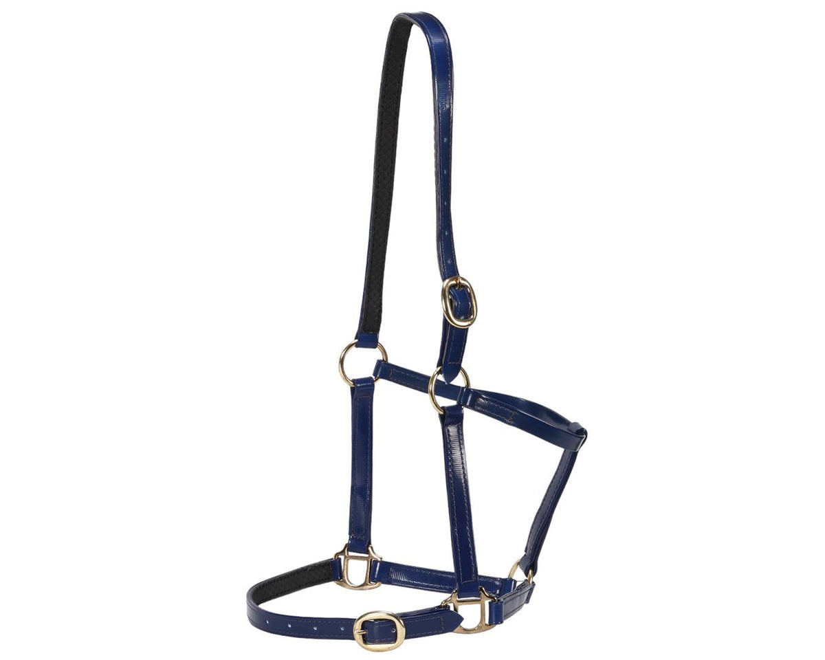 Horse Sense Designer PVC Halter Cob and Full