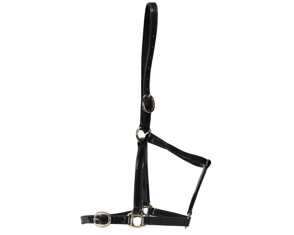 Horse Sense Designer PVC Halter Cob and Full