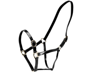 Horse Sense Designer PVC Halter Cob and Full