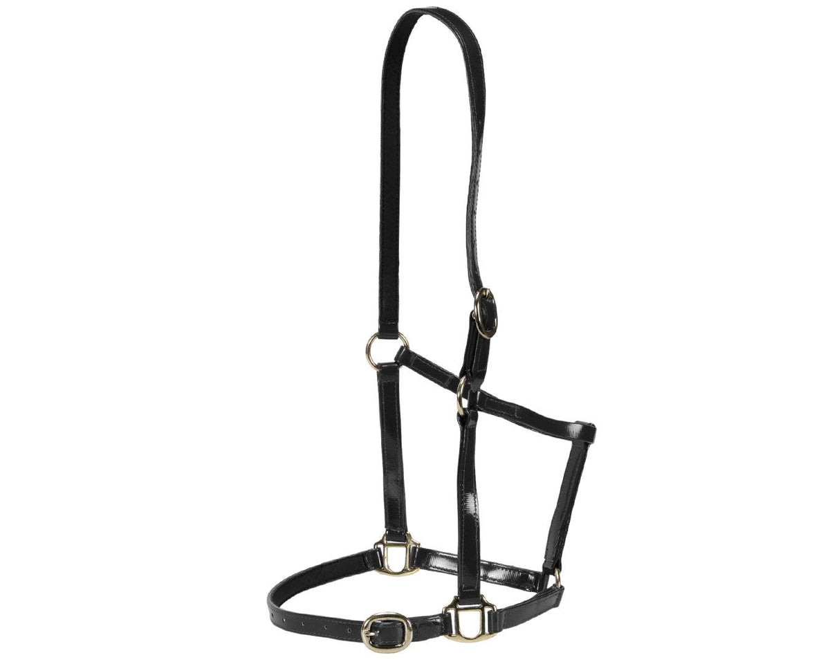 Horse Sense Designer PVC Halter Cob and Full