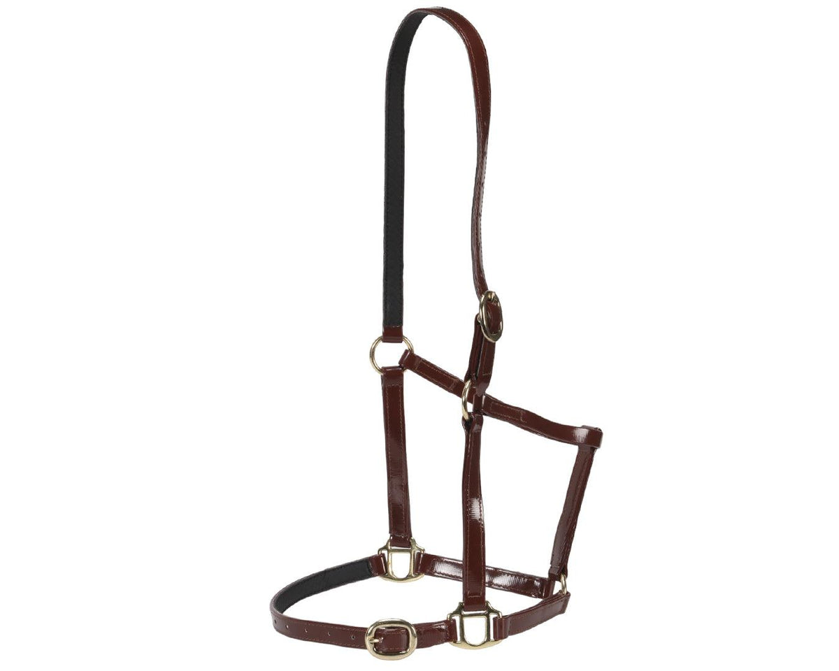 Horse Sense Designer PVC Halter Cob and Full