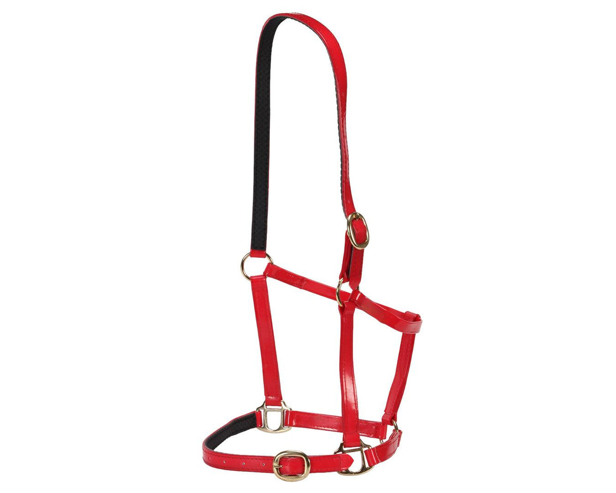 Horse Sense Designer PVC Halter Cob and Full
