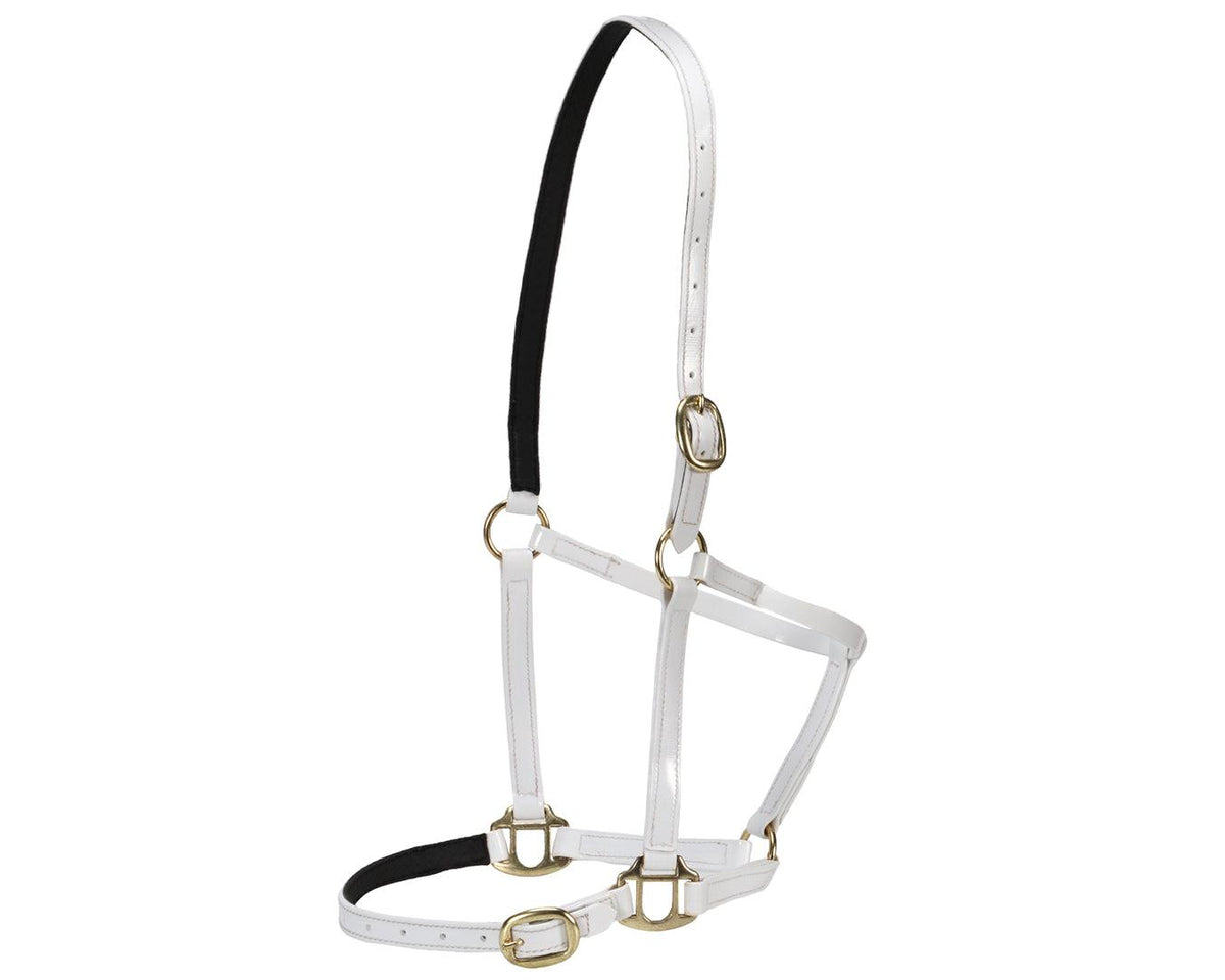 Horse Sense Designer PVC Halter Cob and Full