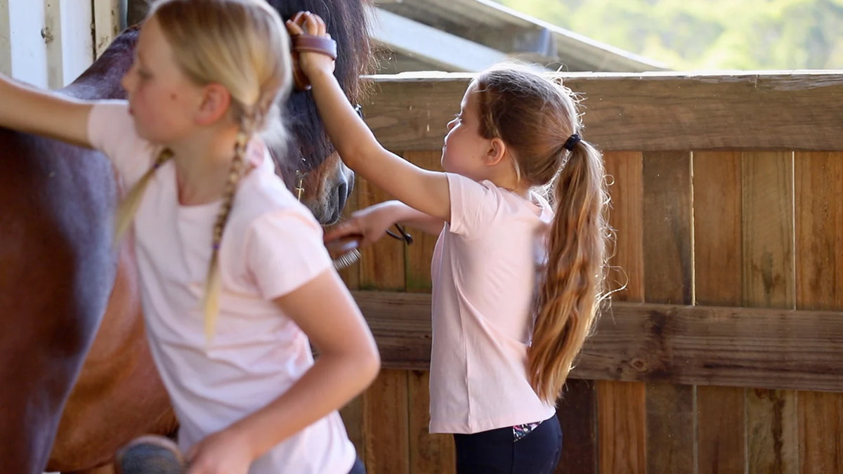 Hairy Pony Kids Brush Kit - New