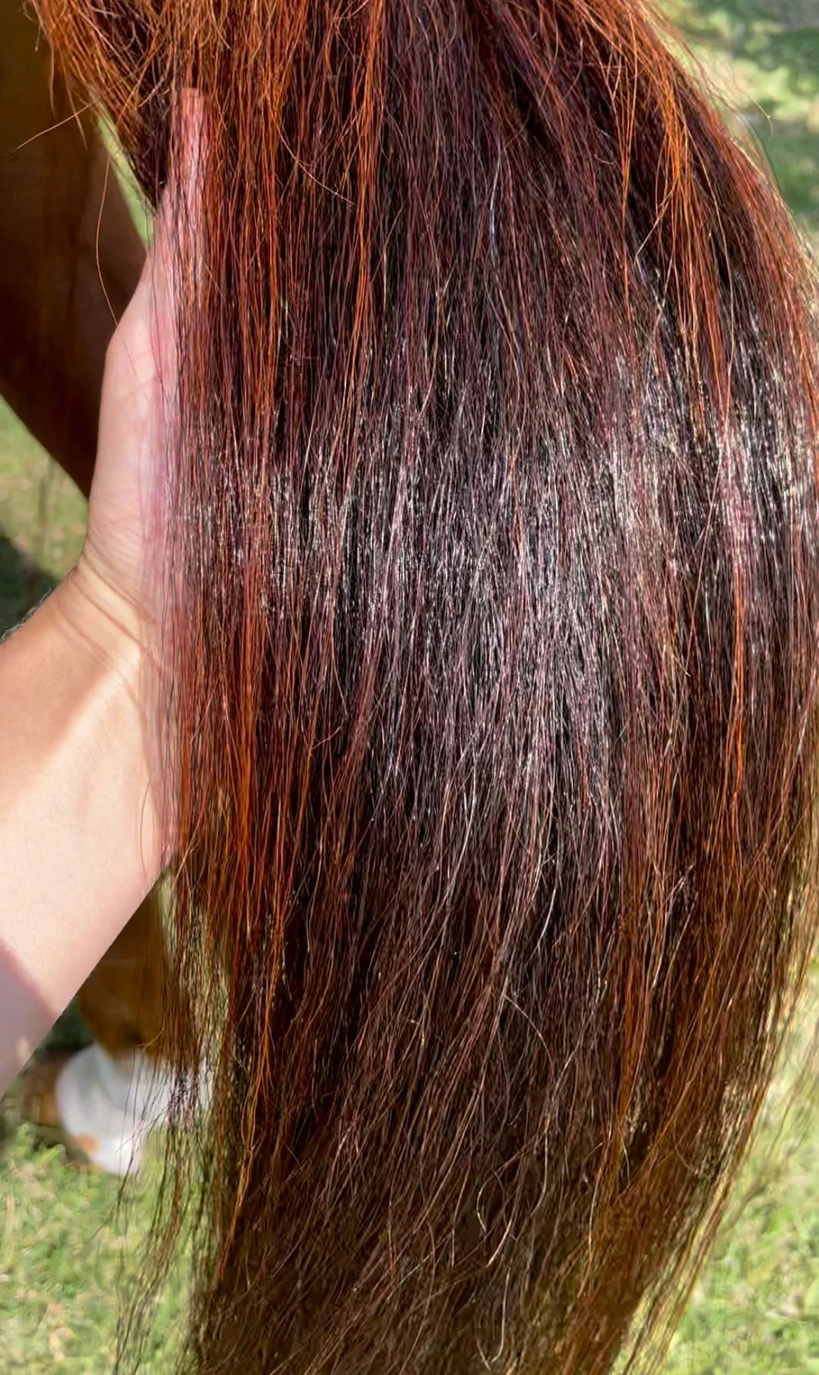 Hairy Pony Limited Edition Silky Serum