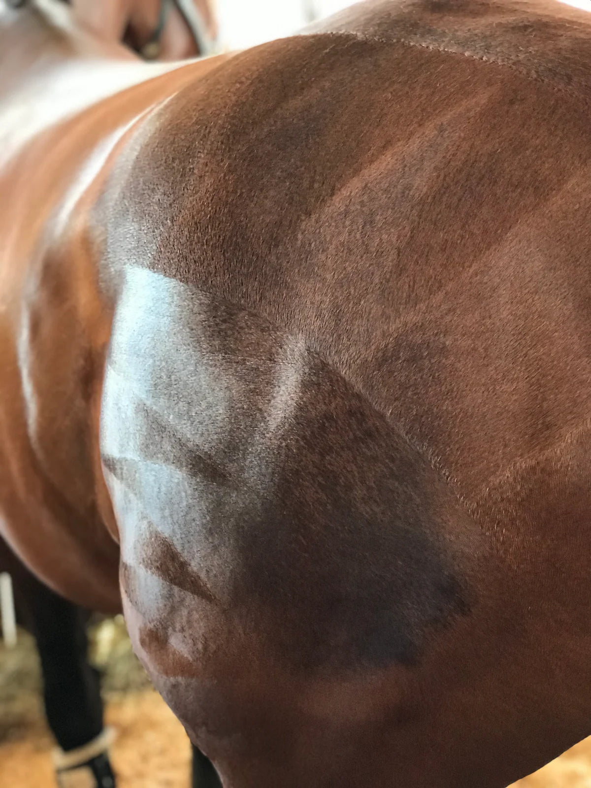 Hairy Pony Quarter Mark Kit