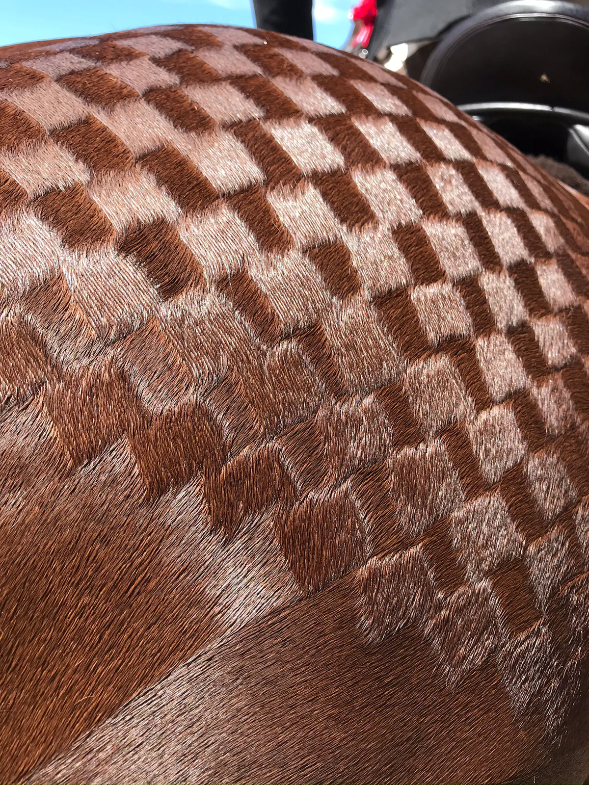Hairy Pony Quarter Mark Kit