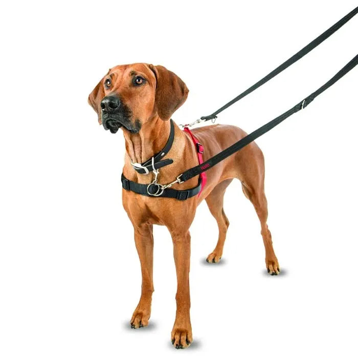 Halti Front Control Dog Harness