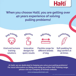Halti Optifit Dog Head Collar