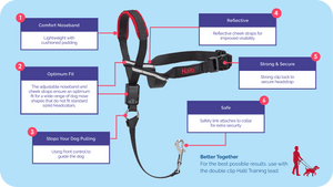 Halti Optifit Dog Head Collar