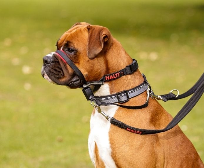 Halti Optifit Dog Head Collar Brookies Rural Traders