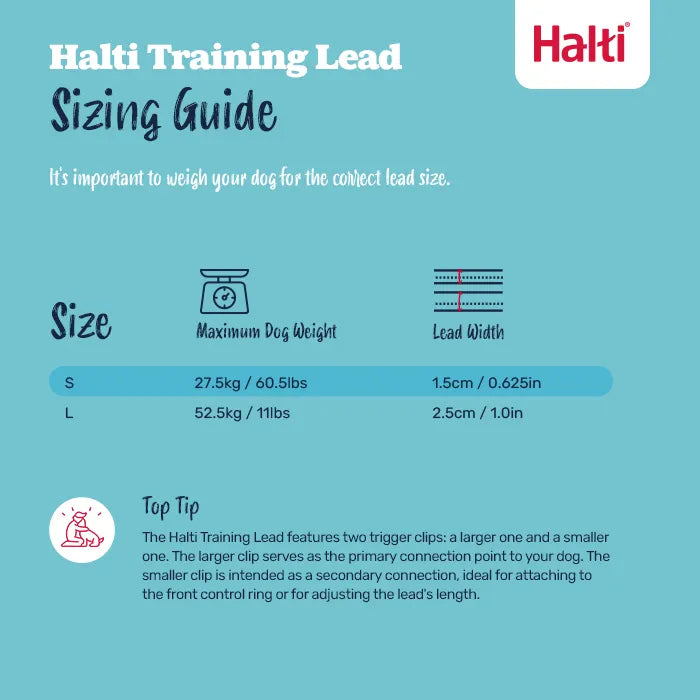 Halti Training Dog Lead
