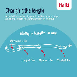 Halti Training Dog Lead