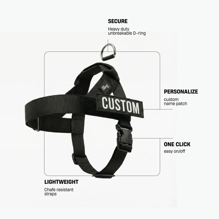 Dog Friendly Co Dog Harness