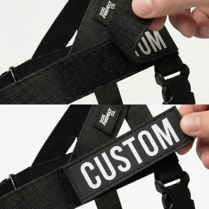 Dog Friendly Co Dog Harness