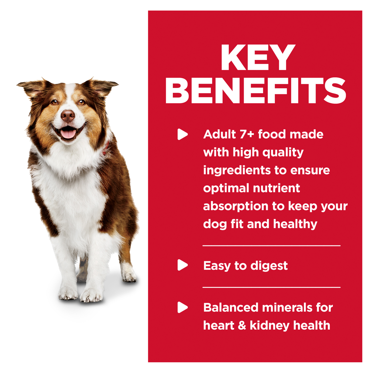 Hills Science Diet Adult 7+ Chicken and Barley Wet Dog Food