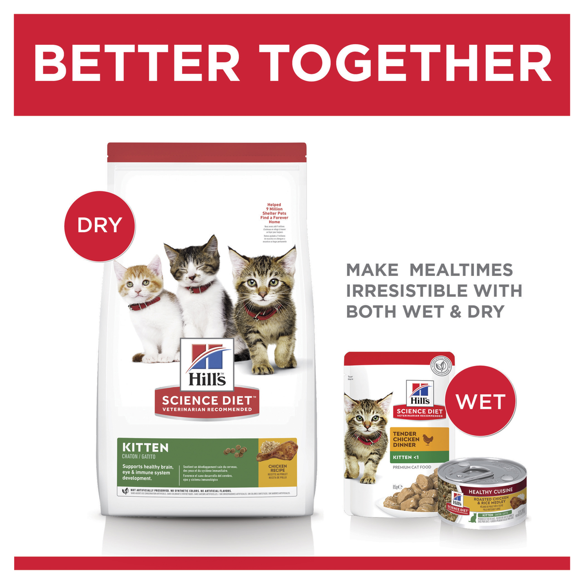 Hills Science Diet Kitten Dry Food