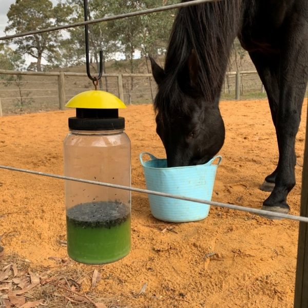 Envirosafe Jumbo Fly Trap