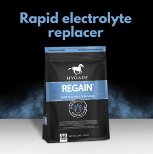 Hygain Regain Electrolyte