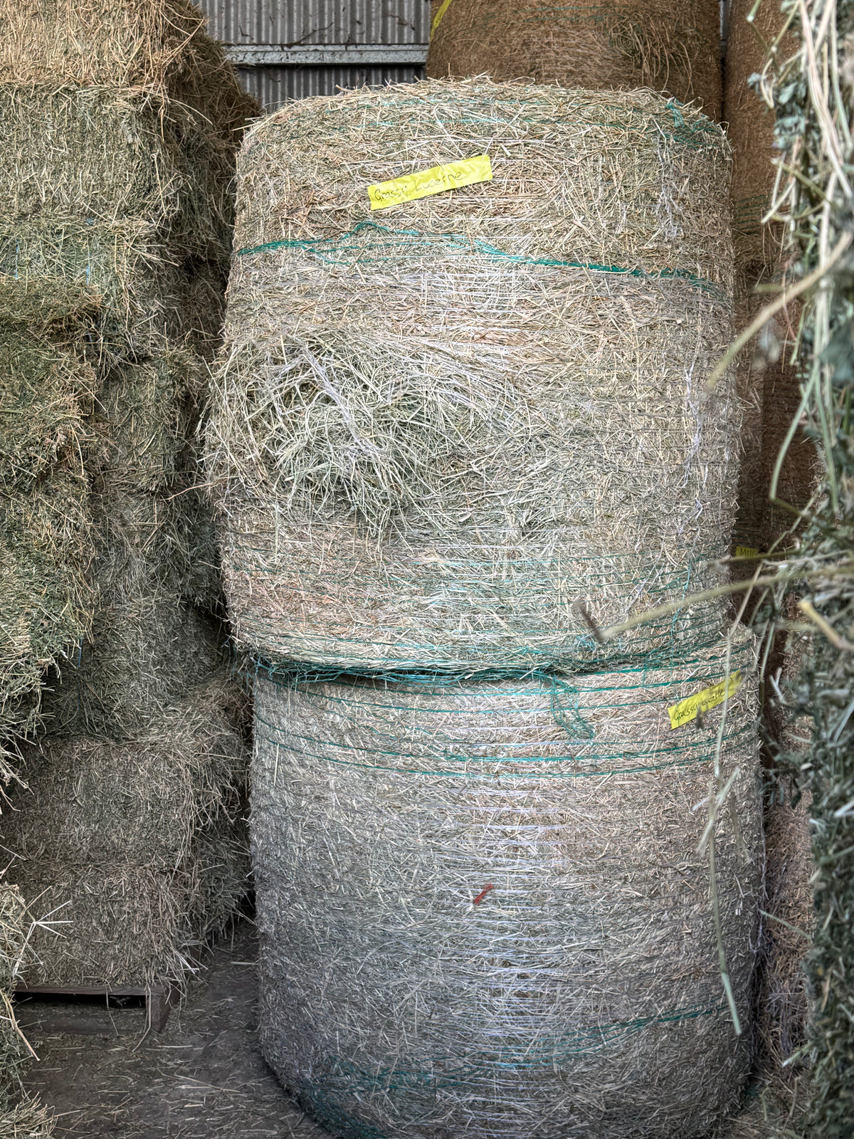 Grassy Lucerne 4x4 Round Bale