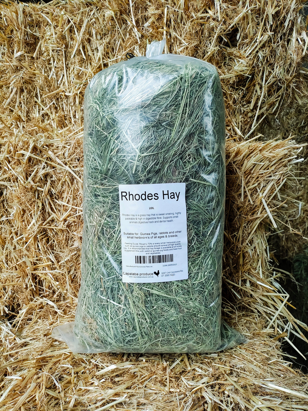 Pauls Guinea Pig Rhodes Hay