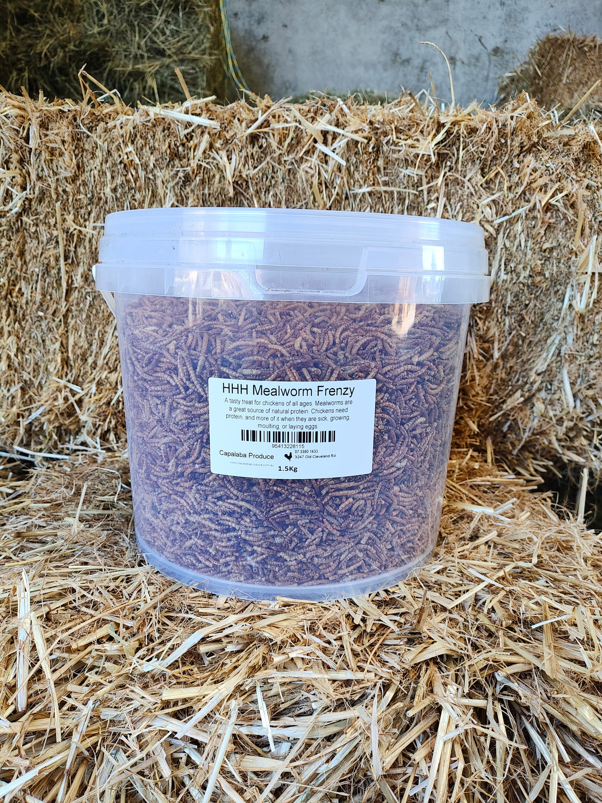 Happy Healthy Hens Mealworm Frenzy