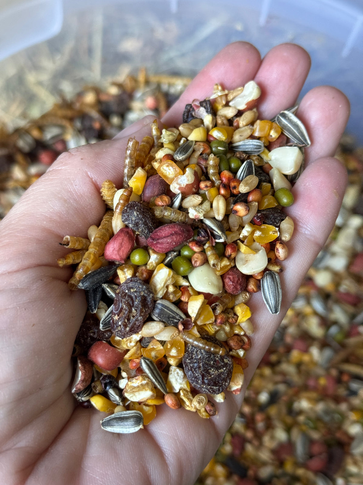 Happy Healthy Hens Krack For Chickens